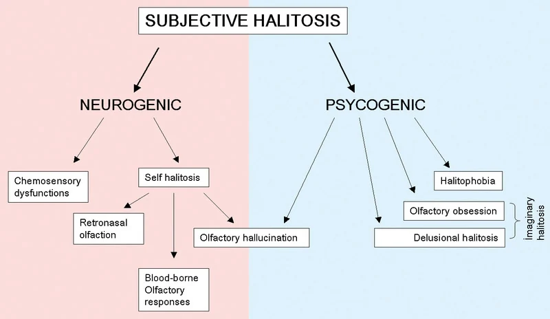 subjektif-agiz-kokulari